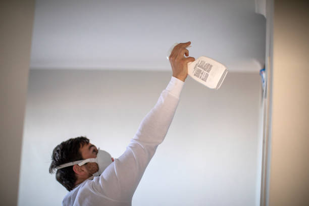 Best Home Mold Removal  in Highland, IN
