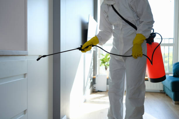 Best Mold Inspection  in Highland, IN