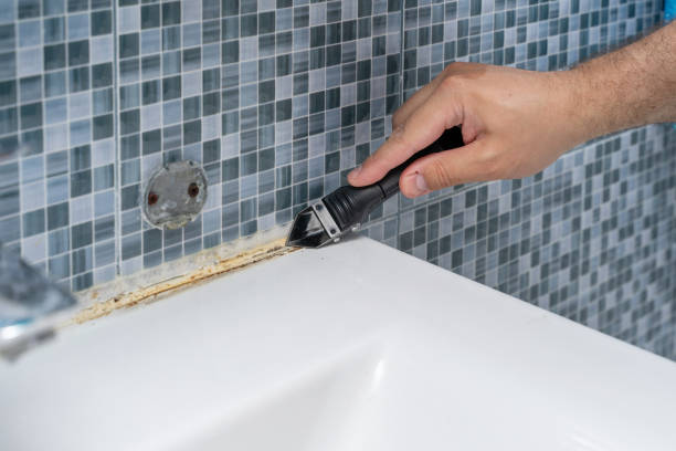 Best Mold Damage Repair  in Highland, IN